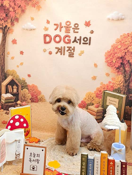 로운이네살롱 · 네이버 지도·플레이스 3