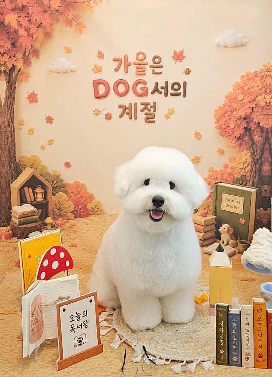 로운이네살롱