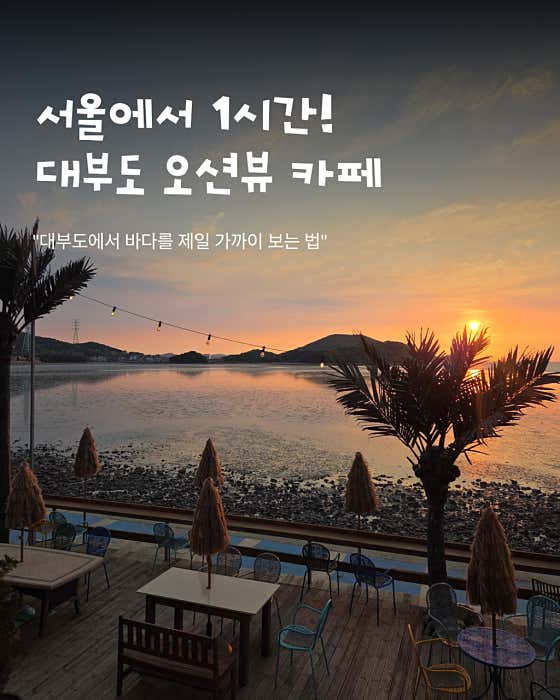 바라보매