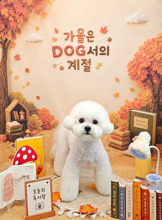 로운이네살롱 · 네이버 지도·플레이스 2