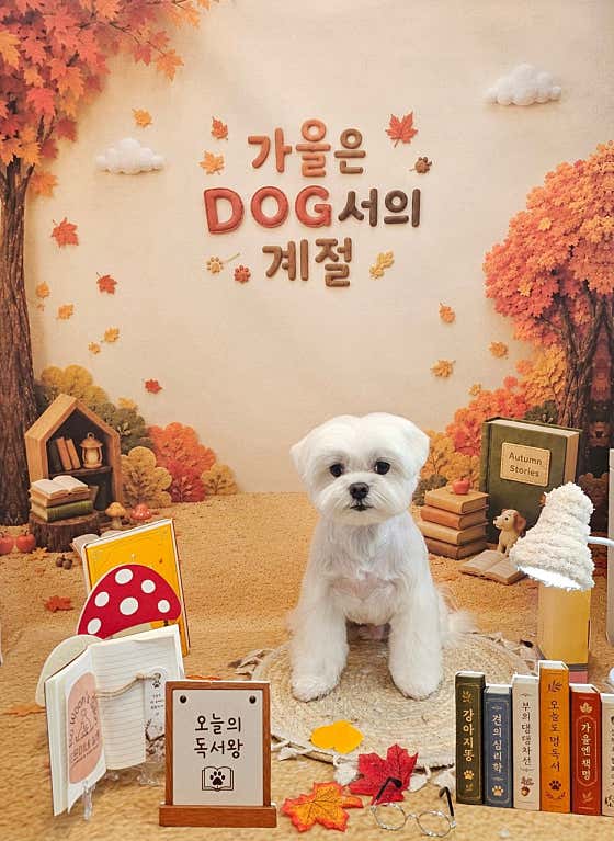 로운이네살롱 · 네이버 지도·플레이스 4