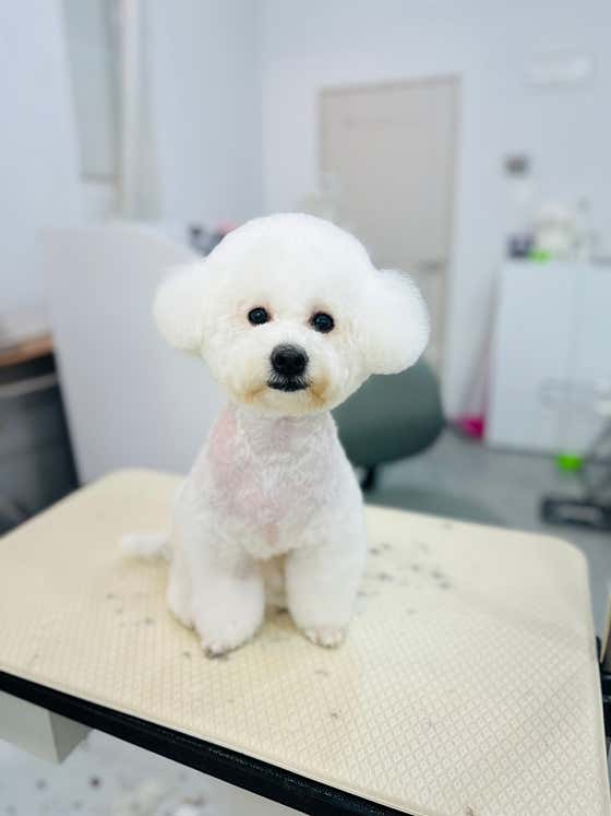 예쁘고멍 · 네이버 지도·플레이스 6