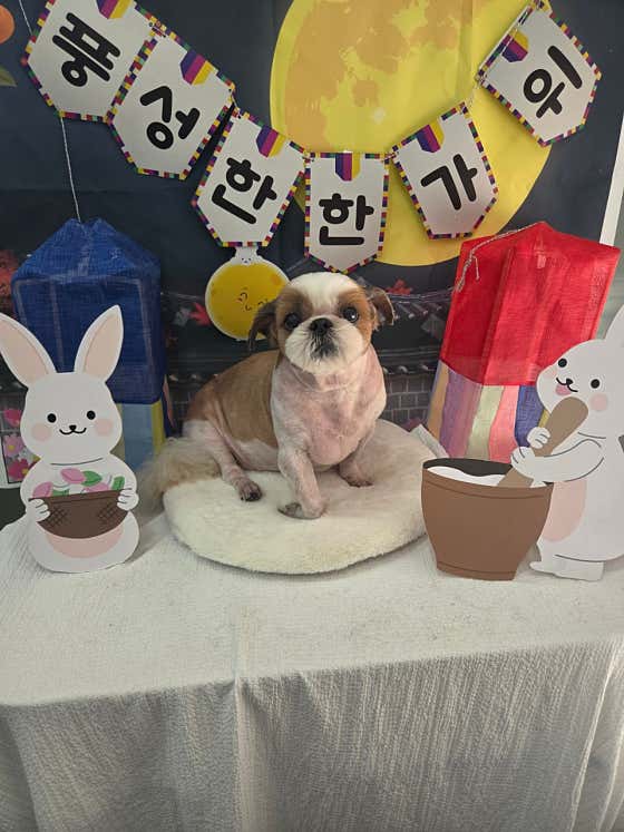 바나개 · 네이버 지도·플레이스 5