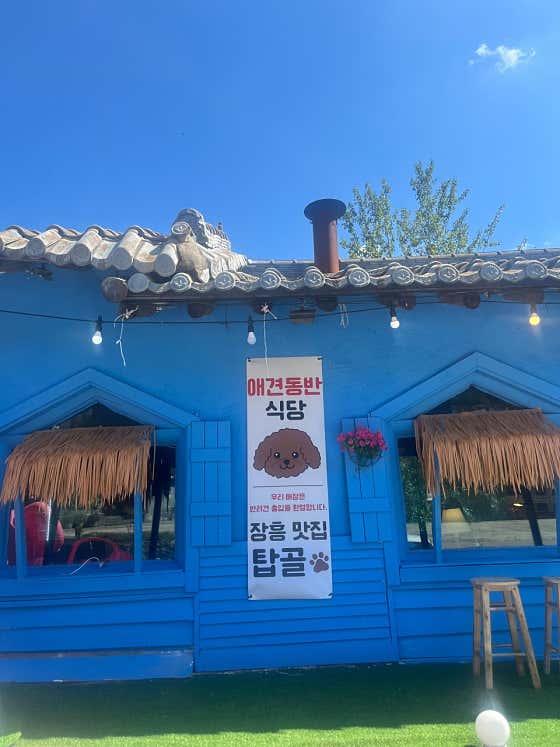 장흥유원지 탑골 닭백숙