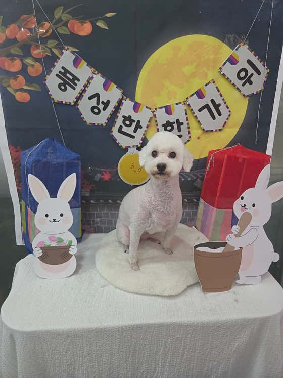 바나개 · 네이버 지도·플레이스 10
