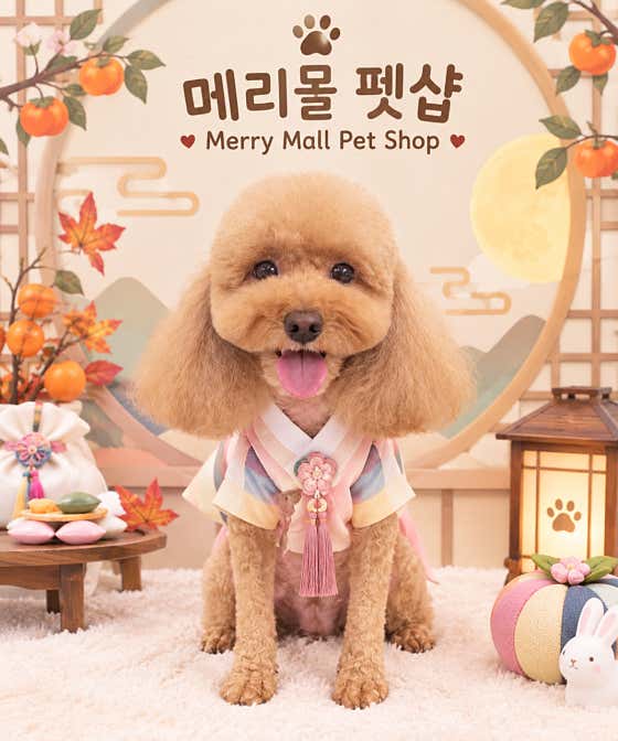 메리몰펫샵 영도점 · 네이버 지도·플레이스 4