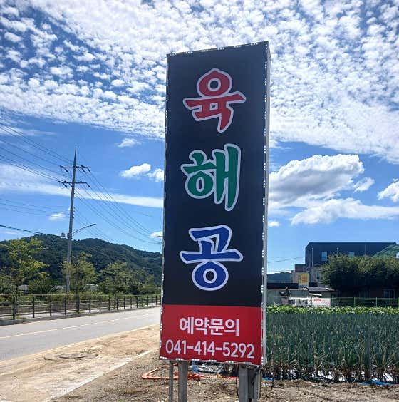 육해공