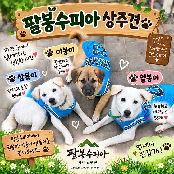 팔봉수피아 카페