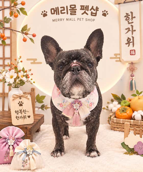 메리몰펫샵 영도점 · 네이버 지도·플레이스 3