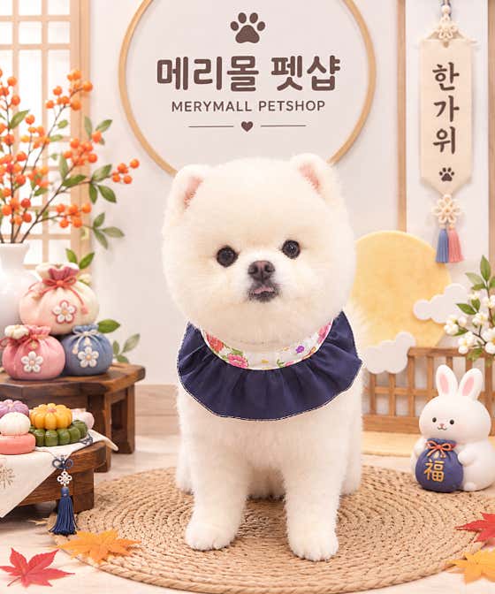 메리몰펫샵 영도점 · 네이버 지도·플레이스 2