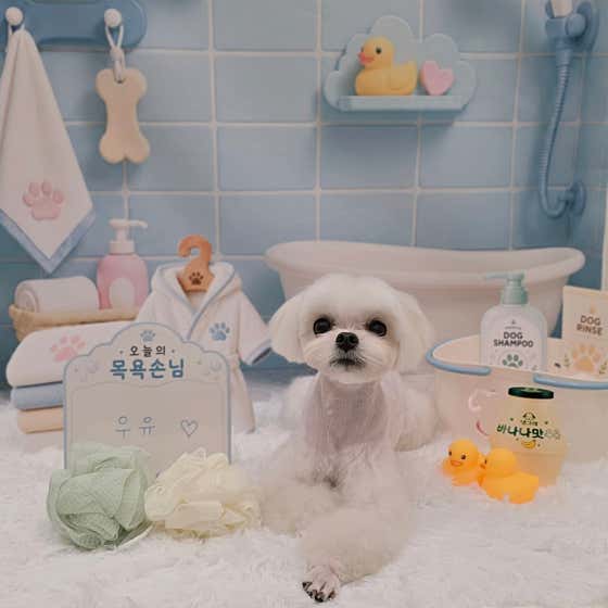 멍요일 · 네이버 지도·플레이스 7