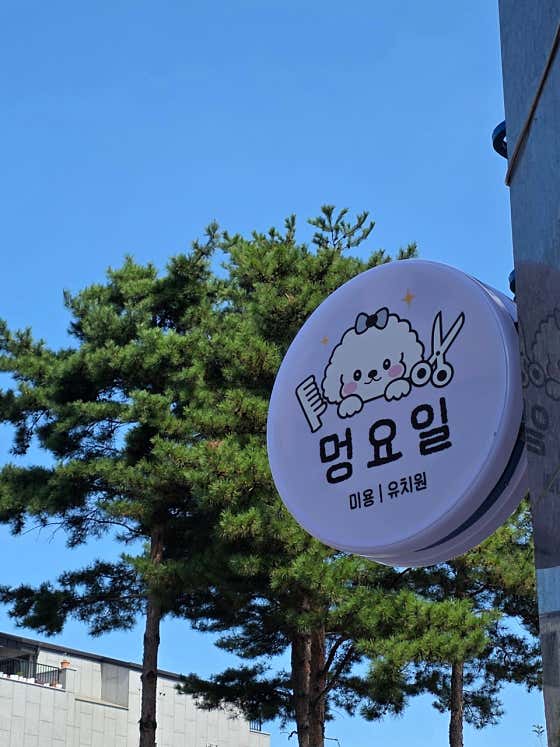 멍요일 · 네이버 지도·플레이스 2