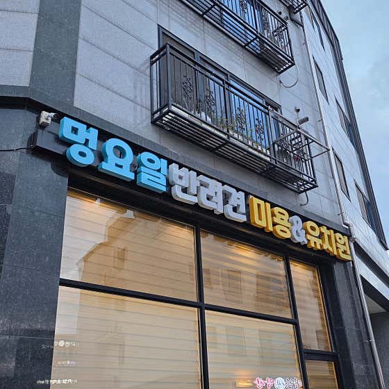 멍요일 · 네이버 지도·플레이스 4
