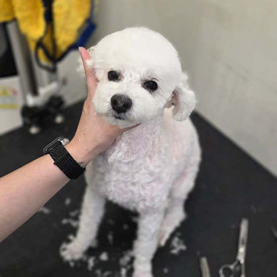 멍요일 · 네이버 지도·플레이스 6