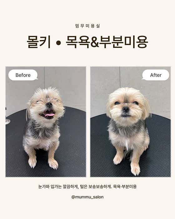 멈무미용실 · 네이버 지도·플레이스 9