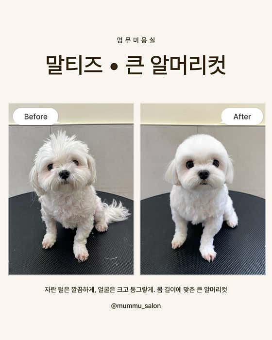 멈무미용실 · 네이버 지도·플레이스 8