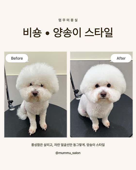 멈무미용실 · 네이버 지도·플레이스 10