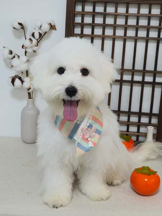 온별살롱 · 네이버 지도·플레이스 4