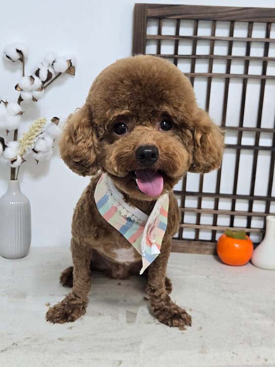 온별살롱 · 네이버 지도·플레이스 3