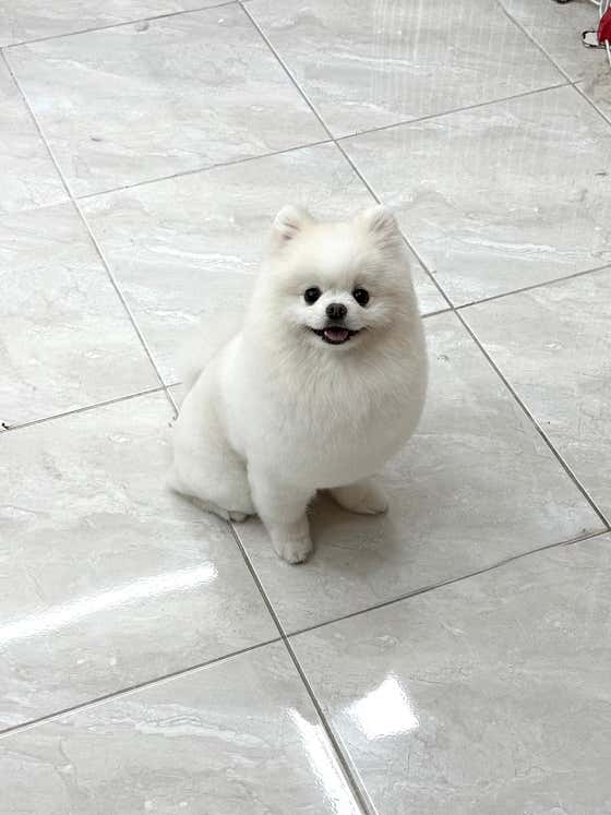 마이뷰티독 강남점 · 네이버 지도·플레이스 6