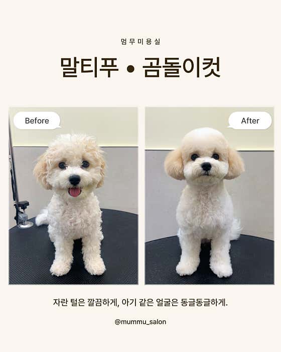 멈무미용실 · 네이버 지도·플레이스 6