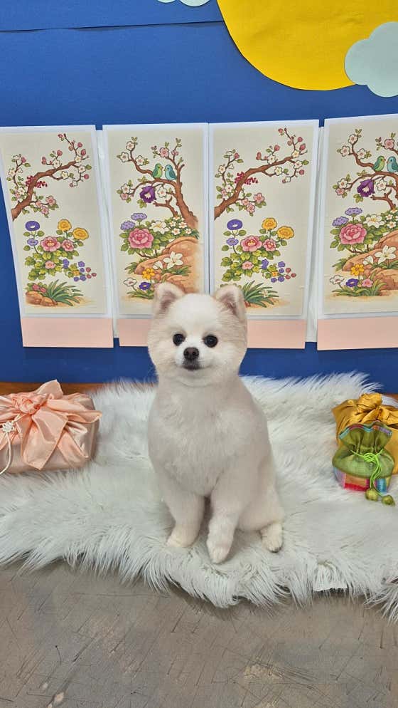비비살롱 · 네이버 지도·플레이스 10
