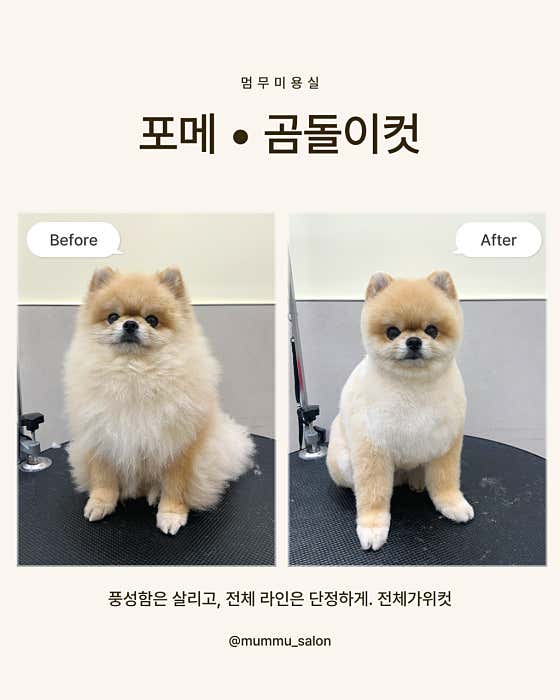 멈무미용실 · 네이버 지도·플레이스 5
