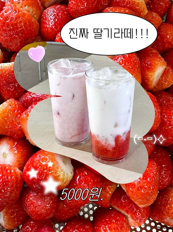 오비오 창원펫빌리지점 · 네이버 지도·플레이스 7