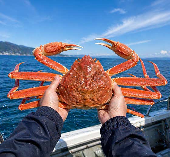 팔도대게찜