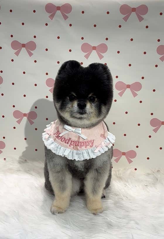 무드퍼피 · 네이버 지도·플레이스 4