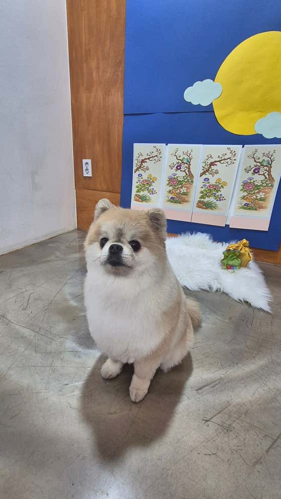 비비살롱 · 네이버 지도·플레이스 4