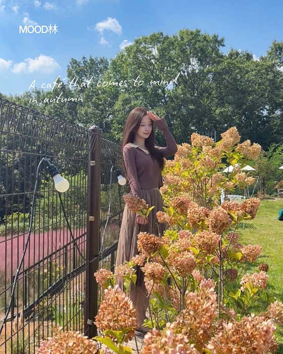 무드림 베이커리 카페 금산