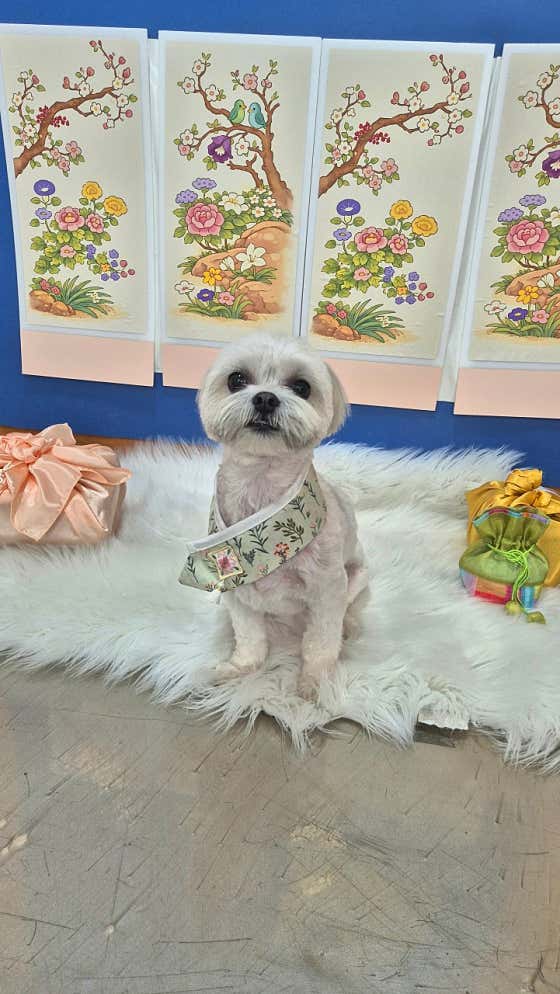 비비살롱 · 네이버 지도·플레이스 9