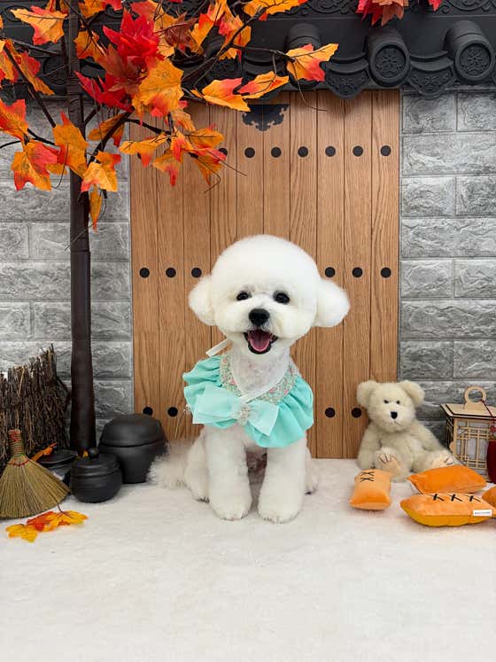 트리오몽슈 파주운정점