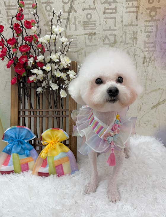 꼬순내 · 네이버 지도·플레이스 2