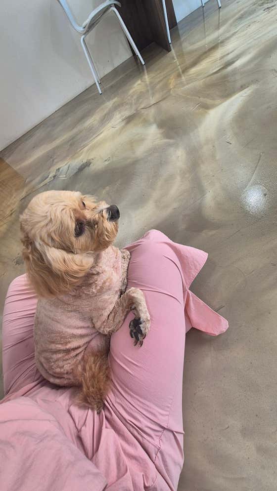 비비살롱 · 네이버 지도·플레이스 6
