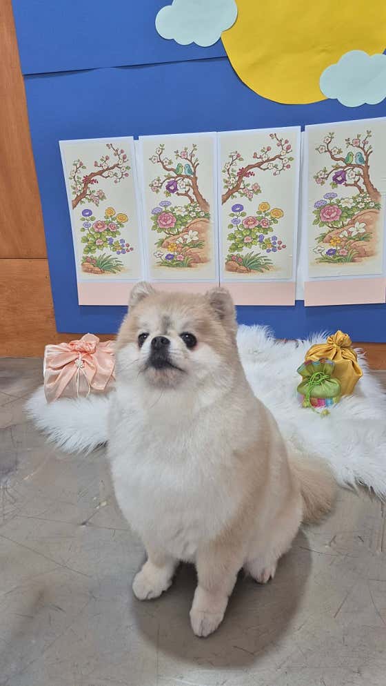 비비살롱 · 네이버 지도·플레이스 5