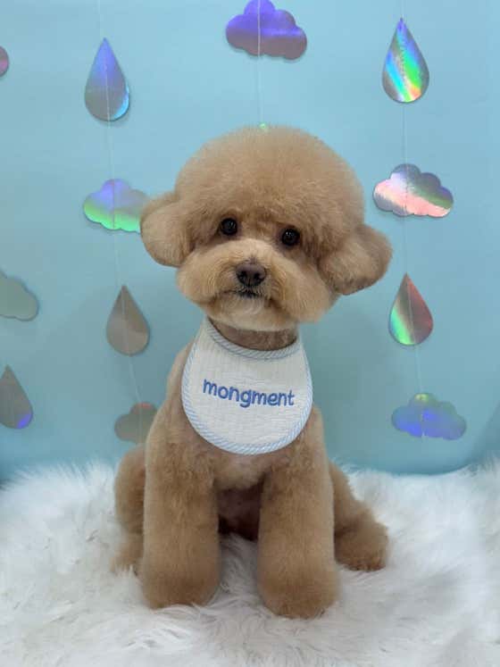 몽먼트 · 네이버 지도·플레이스 2