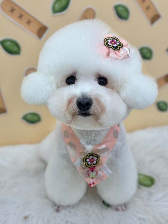 보떼독 · 네이버 지도·플레이스 4