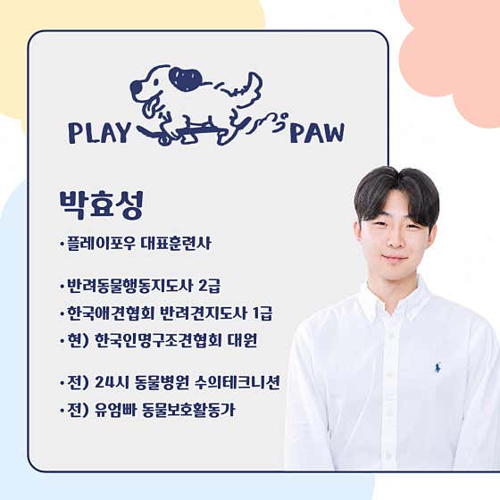 플레이포우 · 네이버 지도·플레이스 2