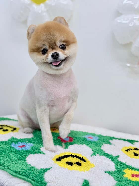 뽀도독 · 네이버 지도·플레이스 3
