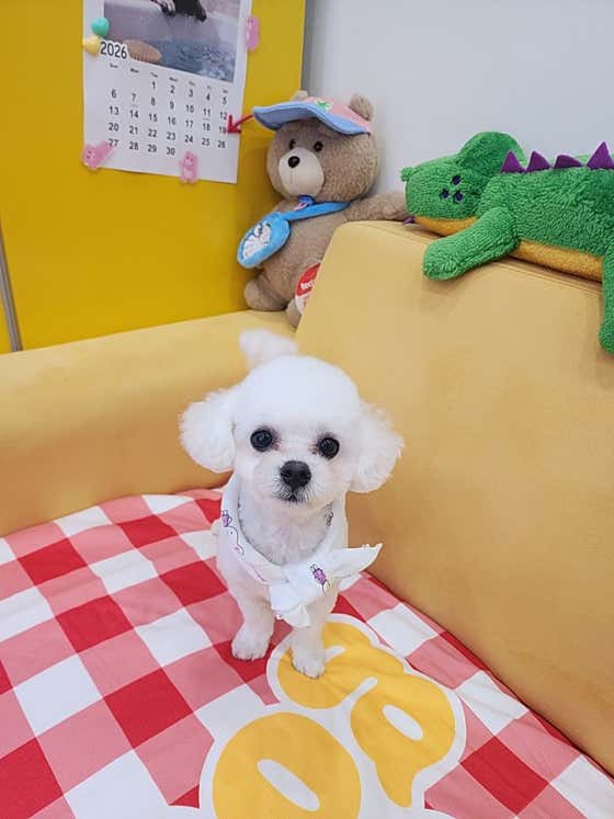 뚱샵 · 네이버 지도·플레이스 5