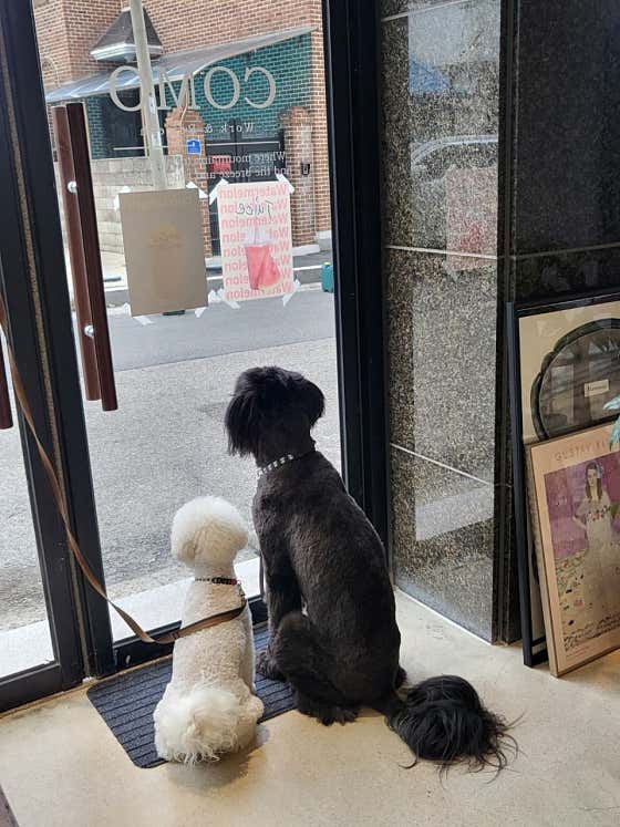 코모커피