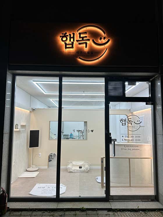 햅독 애견미용실 · 네이버 지도·플레이스 9
