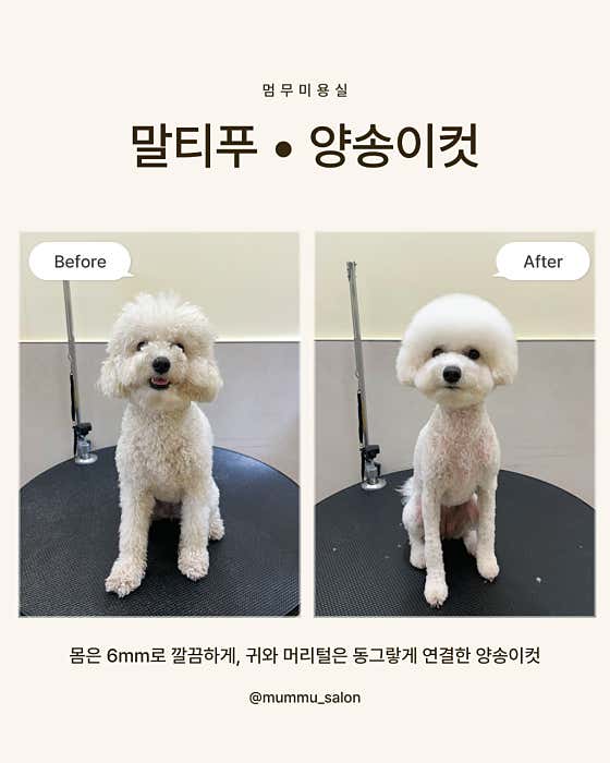 멈무미용실 · 네이버 지도·플레이스 4