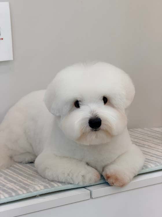 말랑포우