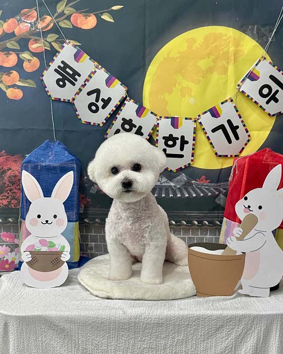 바나개