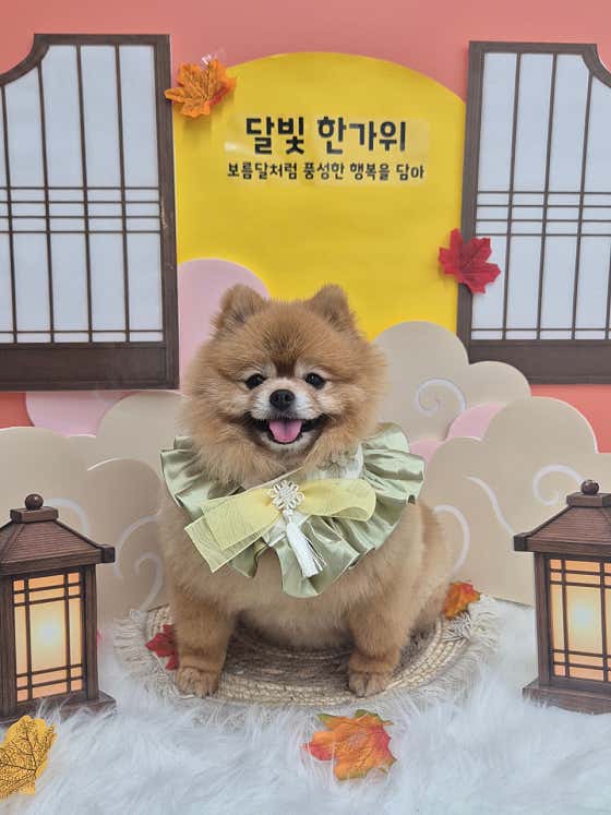 포근포근 · 네이버 지도·플레이스 6