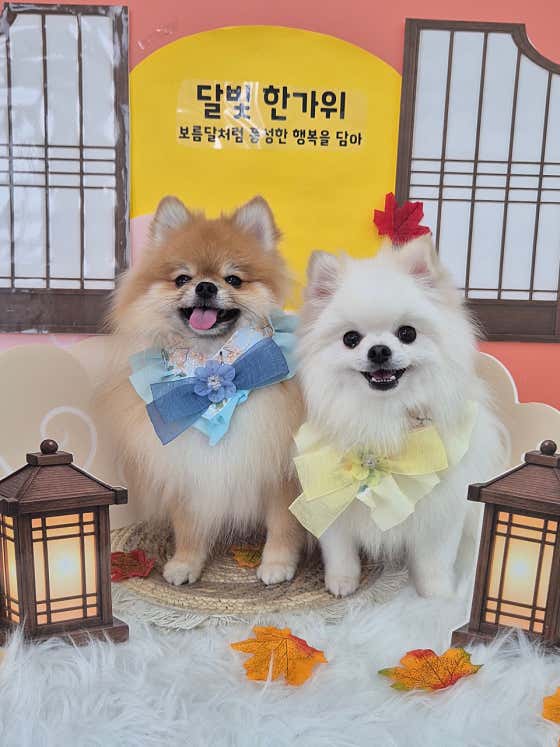 포근포근