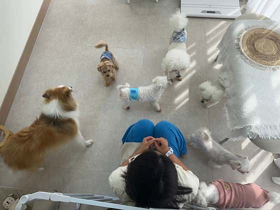 멍하임 · 네이버 지도·플레이스 4